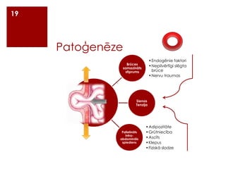19

Patoģenēze
•Endogēnie faktori
•Nepilvērtīgi slēgta
brūce
•Nervu traumas

Brūces
samazināts
stiprums

Sienas
Tenzija

Palielināts
intraabdomināls
spiediens

•Adipozitāte
•Grūtniecība
•Ascīts
•Klepus
•Fiziskā slodze

 