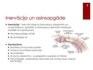 7

Inervācija un asinsapgāde
 Inervācija – nervi iet starp m.transversus abdominis un
m.obl.internus, penetrē m.transversus abominis nedaudz
mediāli no l.semilunaris:
 Nn.intercostales VII-XII
 Nn.lumbales I-II
 Apasiņošana
 Zemākās 3-4 aa.intercostales
 A.iliaca circumflexa profunda
 Aa.lumbales
 M.rectus abdominis – a.epigastrica superior et inferior
 Periumbilikāli – perforatorie asinsvadi, kas novērš audu nekrozi
pie tenzijas

 