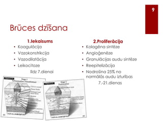 9

Brūces dzīšana
1.Iekaisums

2.Proliferācija

• Koagulācija

• Kolagēna sintēze

• Vazokonstrikcija

• Angioģenēze

• Vazodilatācija

• Granulācijas audu sintēze

• Leikocitoze

• Reepitelizācija

līdz 7.dienai

• Nodrošina 25% no
normālās audu izturības
7.-21.dienas

 