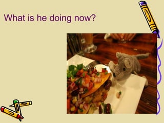 Bilde What is he doing now? 