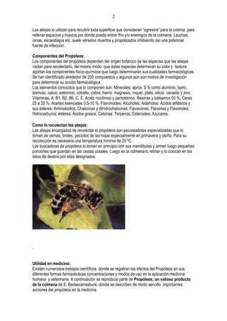 2

Las abejas lo utilizan para recubrir toda superficie que consideran “agresiva” para la colonia, para
rellenar espacios y huecos por donde pueda entrar frío y/o enemigos de la colmena. Lauchas,
ranas, escarabajos etc. suele vérselos muertos y propolizados inhibiendo así una potencial
fuente de infección.

Componentes del Propóleos:
Los componentes del propóleos dependen del origen botánico de las especies que las abejas
visitan para recolectarlo, del mismo modo que estas especies determinan su color y textura
aportan los componentes físico-químicos que luego determinarán sus cualidades farmacológicas.
Se han identificado alrededor de 200 compuestos y algunos aún son motivo de investigación
para determinar su acción farmacológica.
Los elementos conocidos que lo componen son: Minerales: aprox. 5 % como aluminio, bario,
bismuto, calcio, estroncio, cobalto, cobre, hierro, magnesio, níquel, plata, silicio, vanadio y zinc.
Vitaminas, A; B1; B2, B6, C, E, Acido nicotínico y pantoténico. Resinas y bálsamos 50 %; Ceras
25 a 35 %; Aceites esenciales 0,5-10 %; Flavonoides; Alcoholes; Aldehídos; Ácidos alifáticos y
sus ésteres; Aminoácidos; Chalconas y dihídrochalconas; Flavavonas, Flavonas y Flavonoles;
Hidrocarburos; ésteres; Ácidos grasos; Cetonas; Terpenos; Esteroides; Azúcares.

Como lo recolectan las abejas:
Las abejas encargadas de recolectar el propóleos son pecoreadotas especializadas que lo
toman de yemas, brotes, pecíolos de las hojas especialmente en primavera y otoño. Para su
recolección es necesaria una temperatura mínima de 20 ºC.
Las buscadoras de propóleos lo toman en principio con sus mandíbulas y arman luego pequeñas
porciones que guardan en las cestas coxales. Luego en la colmena lo retiran y lo colocan en los
sitios de destino por ellas designados.




.


Utilidad en medicina:
Existen numerosos trabajos científicos donde se registran los efectos del Propóleos en sus
diferentes formas farmacéuticas concentraciones y modos de uso en la aplicación medicina
humana y veterinaria. A continuación se reproduce parte de Propóleos; un valioso producto
de la colmena de E. Bedascarrasbure, donde se describen de modo sencillo importantes
acciones del propóleos en la medicina.
 