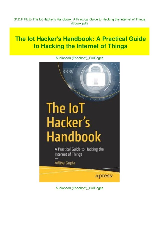hackers handbook pdf