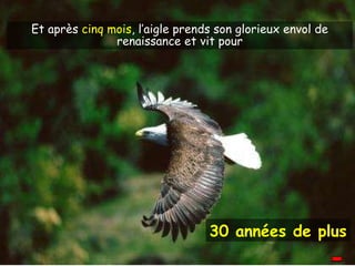 30 années de plus Et après  cinq mois , l’aigle prends son glorieux envol de renaissance et vit pour 
