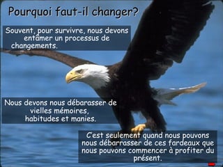 Souvent, pour survivre, nous devons entâmer un processus de changements.   Pourquoi faut-il changer ? Nous devons nous débarasser de vielles mémoires,  habitudes et manies. C’est seulement quand nous pouvons nous débarrasser de ces fardeaux que nous pouvons commencer à profiter du présent. 