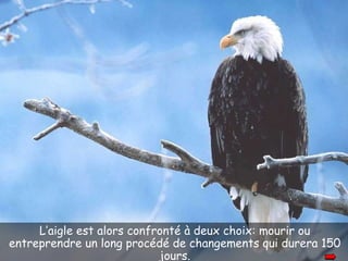 L’aigle est alors confronté à deux choix: mourir ou entreprendre un long procédé de changements qui durera 150 jours. 