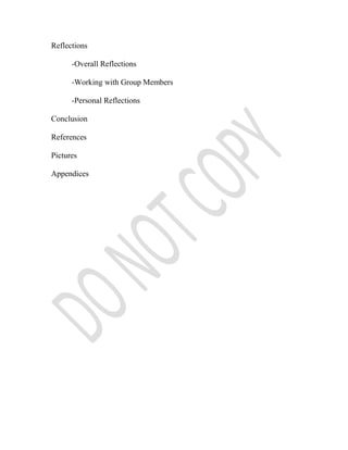 Reflections

      -Overall Reflections

      -Working with Group Members

      -Personal Reflections

Conclusion

References

Pictures

Appendices
 