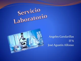 Angeles Gandarillas
II°A
José Agustín Alfonso
 