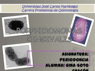 Universidad José Carlos MariáteguiCarrera Profesional de Odontología PORPHIROMONAS GINGIVALIS Asignatura: Periodoncia Alumna: Gina Soto Chacón 