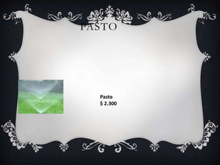 PASTO
Pasto
$ 2.300