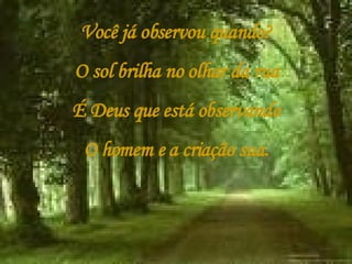 Você já observou quando? O sol brilha no olhar da rua É Deus que está observando O homem e a criação sua. 