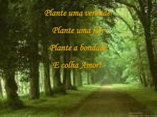Plante uma verdade   Plante uma flor Plante a bondade E colha Amor!  