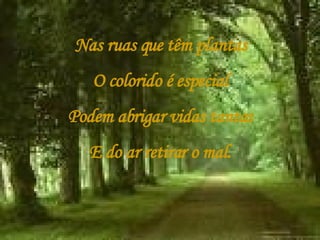 Nas ruas que têm plantas O colorido é especial Podem abrigar vidas tantas E do ar retirar o mal. 