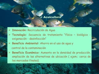 Acuicultura Innovación:  Recirculación de Agua  Tecnología:  Secuencia de tratamiento “físico – biológico - oxigenación - desinfección” Beneficio Ambiental:  Ahorro en el uso de agua y control de la contaminación Beneficio Económico:  Aumento en la densidad de producción, ampliación de las alternativas de ubicación ( ejem.: cerca de los mercados finales) 