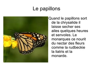 La chenilles La chenille de monarques mange de l'asclépiade et a force quel en mange elle grossi et elle mus 5 fois, sa longueur peut atteindre 50mm.