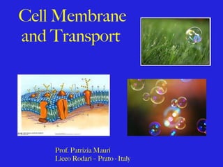 Cell Membrane and Transport  Prof. Patrizia Mauri  Liceo Rodari – Prato - Italy 