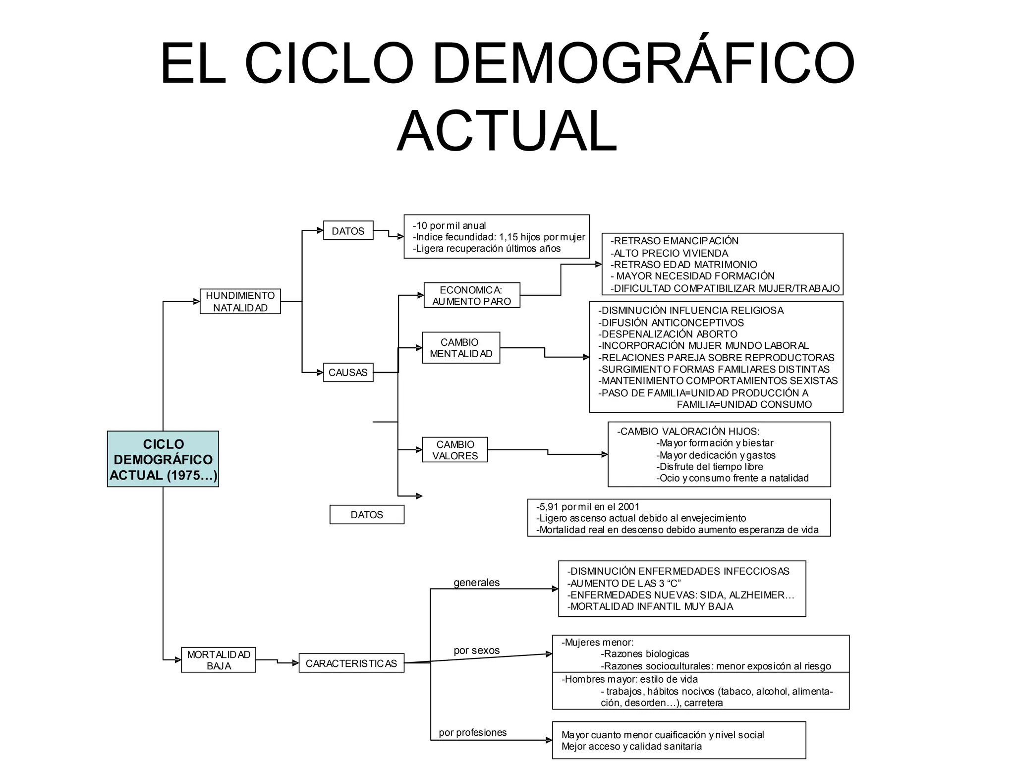 EL CICLO DEMOGRÁFICO ACTUAL