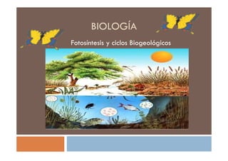 BIOLOGÍA
Fotosíntesis y ciclos Biogeológicos
 