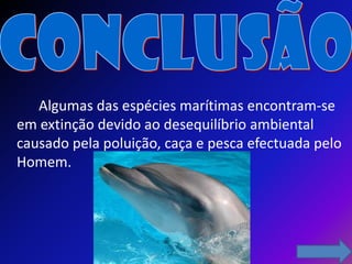 Algumas das espécies marítimas encontram-se
em extinção devido ao desequilíbrio ambiental
causado pela poluição, caça e pesca efectuada pelo
Homem.
 