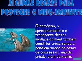 O comércio, o
aprisionamento e o
transporte destes
mesmos animais também
constitui crime sendo a
pena em ambos os casos
de 6 meses a 1 ano de
prisão, além de multa;
 