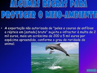 • A exportação não autorizada de "peles e couros de anfíbios
  e répteis em [estado] bruto" sujeita o infractor à multa de 2
  mil euros, mais um acréscimo de 200 a 5 mil euros por
  espécime apreendido, conforme o grau de raridade do
  animal;
 