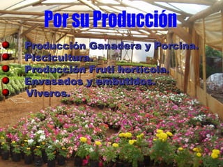 Producción Ganadera y Porcina.
Piscicultura.
Producción Fruti hortícola.
Envasados y embutidos.
Viveros.
 