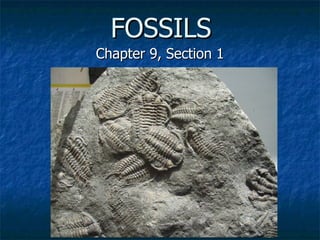 FOSSILS Chapter 9, Section 1 