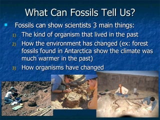 What Can Fossils Tell Us? Fossils can show scientists 3 main things: The kind of organism that lived in the past How the environment has changed (ex: forest fossils found in Antarctica show the climate was much warmer in the past) How organisms have changed 