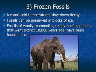 3) Frozen Fossils Ice and cold temperatures slow down decay. Fossils can be preserved in blocks of ice. Fossils of woolly mammoths, relatives of elephants that went extinct 10,000 years ago, have been found in ice. 