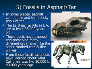 5) Fossils in Asphalt/Tar In some places, asphalt  can bubble and form sticky pools of tar. The La Brea Tar Pits in L.A. are at least 38,000 years old. These pools have trapped and preserved many different organisms, like the saber-toothed cats & dire wolves. From these fossils scientists have learned about what California was like 10,000 to 40,000 years ago. 