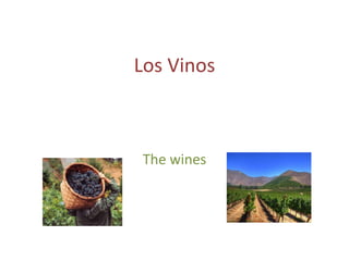 Los Vinos
The wines
 