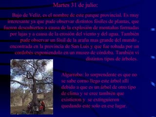 Martes 31 de julio: Bajo de Veliz, es el nombre de este parque provincial. Es muy interesante ya que pude observar distintos fósiles de plantas, que fueron descubiertos a causa de la explosión de montañas formadas por lajas y a causa de la erosión del viento y del agua. También pude observar un fósil de la araña mas grande del mundo , encontrada en la provincia de San Luis y que fue robada por un cordobés exponiendolo en un museo de córdoba. También vi distintos tipos de árboles.   Algarrobo: lo sorprendente es que no se sabe como llego este árbol allí debido a que es un árbol de otro tipo de clima y se cree también que existieron y  se extinguieron quedando este solo en ese lugar. 