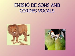 EMISIÓ DE SONS AMB CORDES VOCALS 