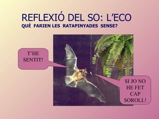 REFLEXIÓ DEL SO: L’ECO QUÉ  FARIEN LES  RATAPINYADES  SENSE?   T’HE SENTIT! SI JO NO HE FET CAP SOROLL! 