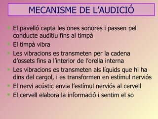 MECANISME DE L’AUDICIÓ
   El pavelló capta les ones sonores i passen pel
    conducte auditiu fins al timpà
   El timpà vibra
   Les vibracions es transmeten per la cadena
    d’ossets fins a l’interior de l’orella interna
   Les vibracions es transmeten als líquids que hi ha
    dins del cargol, i es transformen en estímul nerviós
   El nervi acústic envia l’estímul nerviós al cervell
   El cervell elabora la informació i sentim el so
 