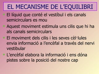 EL MECANISME DE L’EQUILIBRI
   El líquid que conté el vestíbul i els canals
    semicirculars es mou
   Aquest moviment estimula uns cilis que hi ha
    als canals semicirculars
   El moviment dels cilis i les seves cèl·lules
    envia informació a l’encèfal a través del nervi
    vestibular
   L’encèfal elabora la informació i ens dóna
    pistes sobre la posició del nostre cap
 