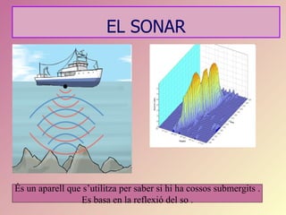 EL SONAR




És un aparell que s’utilitza per saber si hi ha cossos submergits .
                 Es basa en la reflexió del so .
 