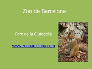 Zoo de BarcelonaParc de la Ciutadellawww.zoobarcelona.com
