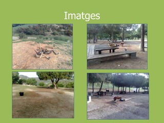 Imatges