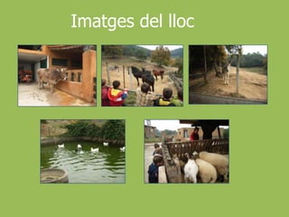 ObjectiusDiferents programes educatius per treballar la natura, la granja o el bosc.Implicació dels nens a col·laborar amb la natura.Projectes de futur.