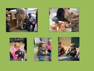 A qui va dirigit?		Infantil – AdultsA qui és útil?		Al parc i a la personaPer què?		Conscienciació mediambiental 