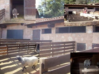 Explicació de l’activitatÉs un espaiinteractiuon el joc, l’observació i la deducció es converteixen en eines per al descobriment.A la sala clik del CosmoCaixa per nens de 3 a 6 anyselsmésmenutss'endinsaran per primer cop a la ciència a través de màquines, calidoscopis, olors, bombolles i el tacte. A través de les olors, les sensacionstàctils, les bombolles o les màquines, aquestespaipretén estimular la seva actitud experimental.