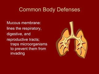 Common Body Defenses Mucous membrane: lines the respiratory, digestive, and reproductive tracts; traps microorganisms to prevent them from invading 