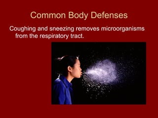 Common Body Defenses Coughing and sneezing removes microorganisms from the respiratory tract. 
