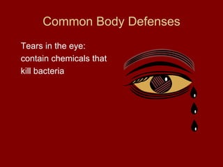 Common Body Defenses Tears in the eye: contain chemicals that kill bacteria 