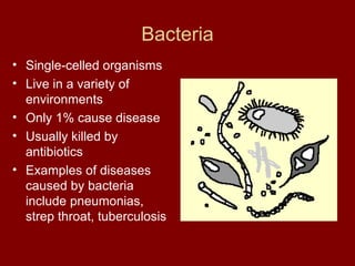 Bacteria Single-celled organisms Live in a variety of environments Only 1% cause disease  Usually killed by antibiotics  Examples of diseases caused by bacteria include pneumonias, strep throat, tuberculosis 