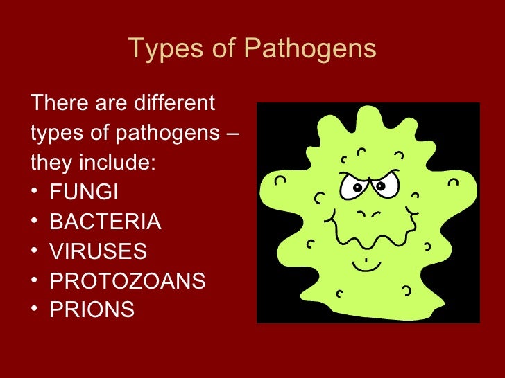 different types of pathogens