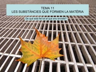 TEMA 11 LES SUBSTÀNCIES QUE FORMEN LA MATÈRIA De qué està fet tot el que ens envolta? 