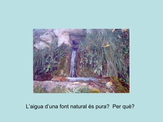 L’aigua d’una font natural és pura?  Per què? 