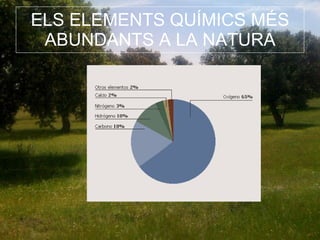 ELS ELEMENTS QUÍMICS MÉS ABUNDANTS A LA NATURA 