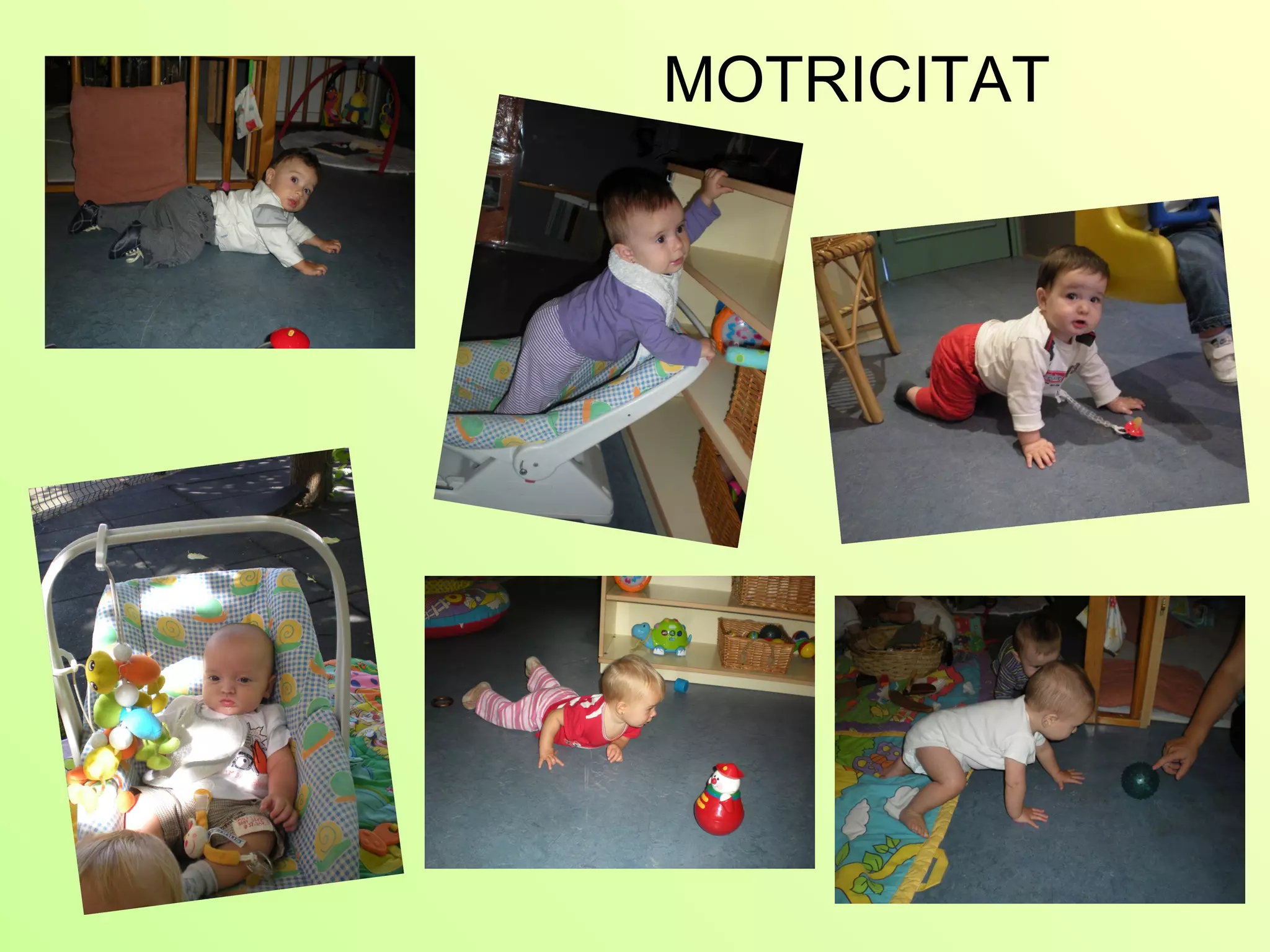 MOTRICITAT
 